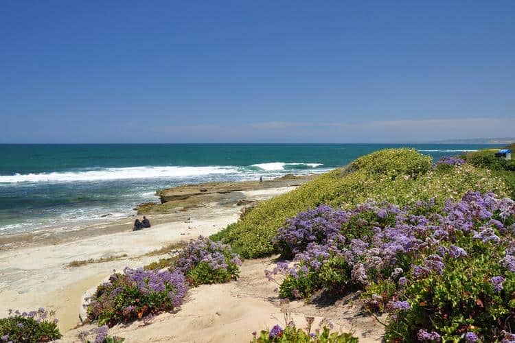 The Best Toddler-Friendly Beaches Near the San Diego Zoo