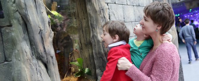 Family Enjoying Museum With Toddlers In Los Angeles, Exploring Exhibits Without Meltdowns.