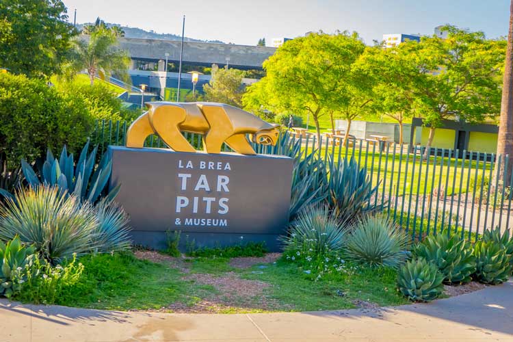 Entrance sign for LA Brea Tar Pits & Museum with surrounding desert plants.