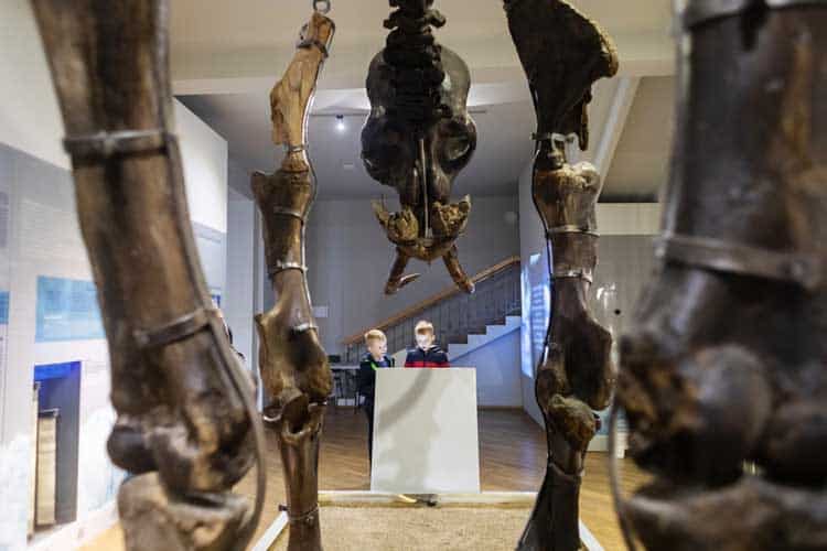 Ancient animal skeletons at the Natural History Museum in Los Angeles. Perfect for kids under 3 expl.