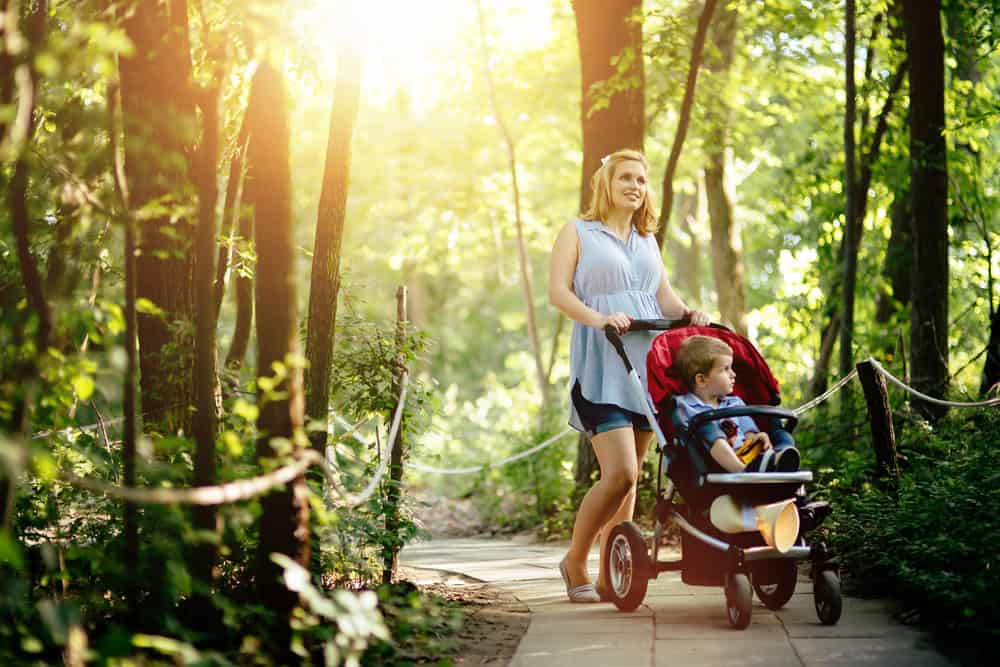 Mother with stroller and young child in forest park during daytime.