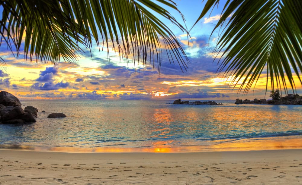 The Best Calm Ocean Entry Spots in Waikiki for Toddlers