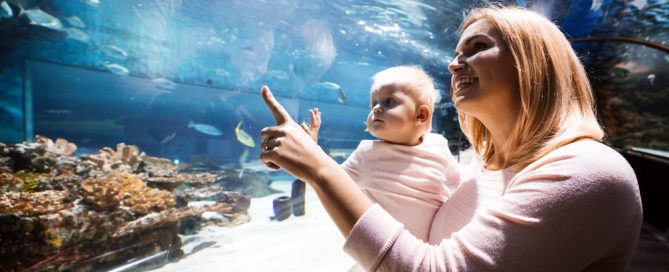 Sea Life Aquarium With A Mother And Baby Observing Marine Animals Through Glass.
