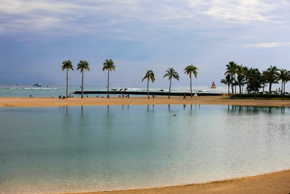 Relaxing Waikiki Beach with palm trees and calm waters, perfect for family-friendly water activities.