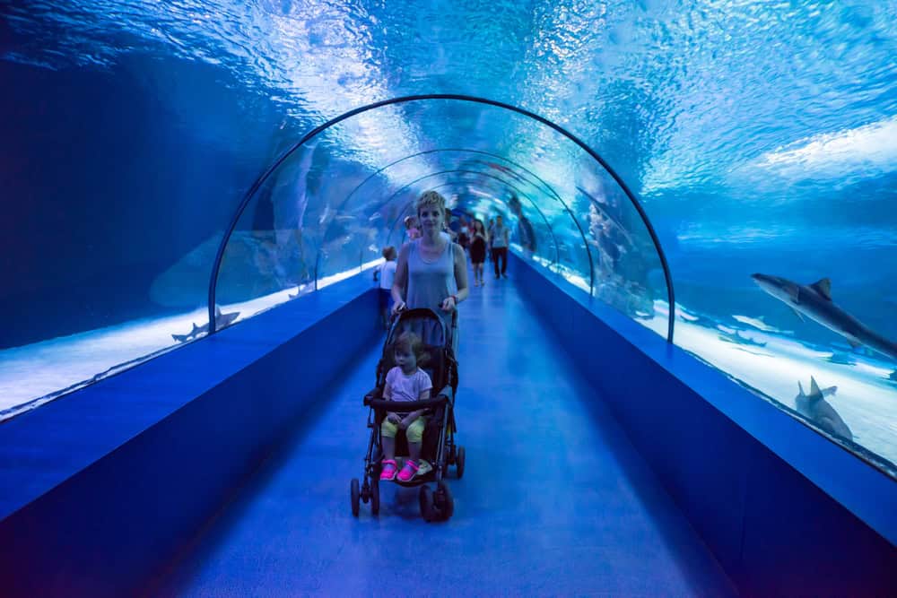Aquarium of the Pacific Parking and Stroller Tips