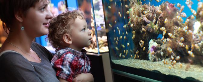 Bright-Eyed Child And Parent Observing Colorful Coral Reef Exhibit At An Aquarium.