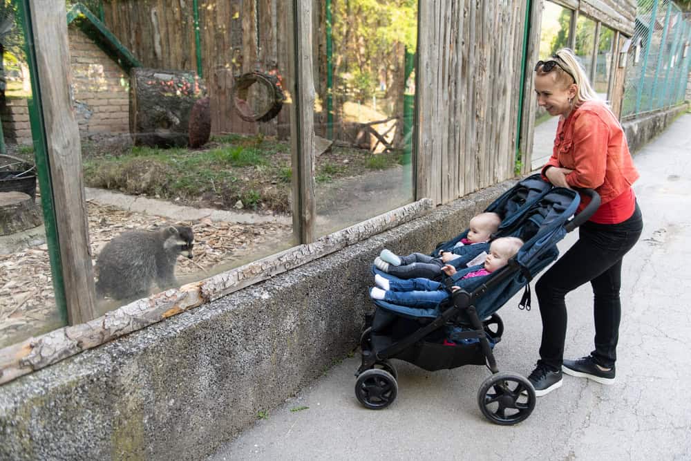 orange county zoo route for strollers 