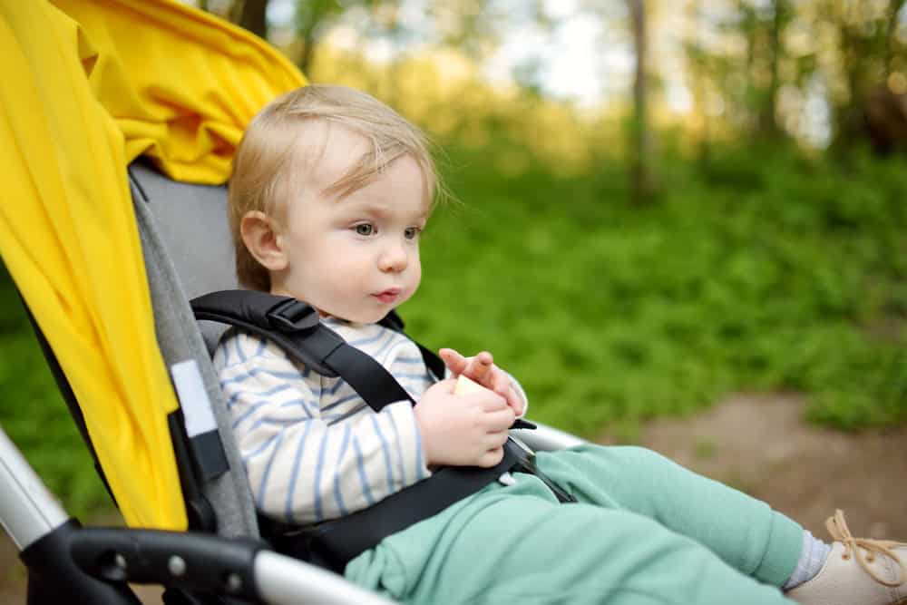 orange county zoo route for strollers 