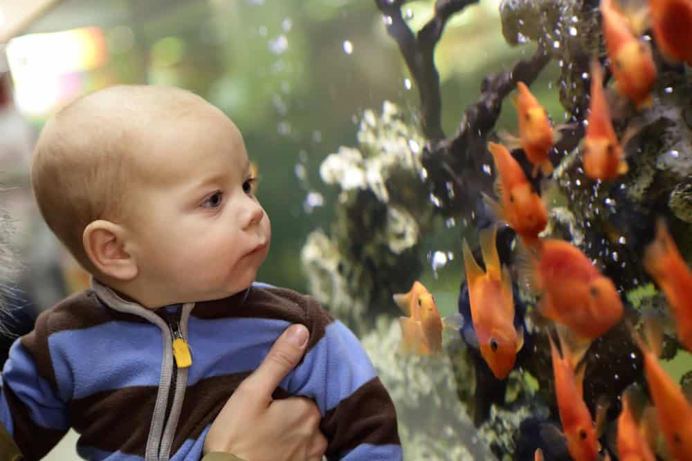 The Best Indoor Activities in Long Beach for Rainy Days
