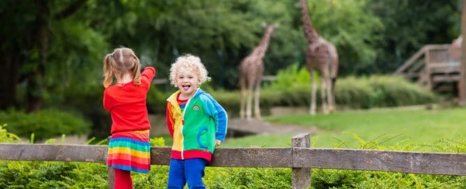 Children Enjoying A Day At The Zoo With Giraffes In The Background.