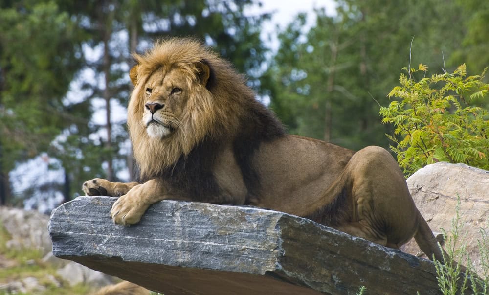 Irvine With Toddlers: The Zoo-and-Park Vacation Parents Love
