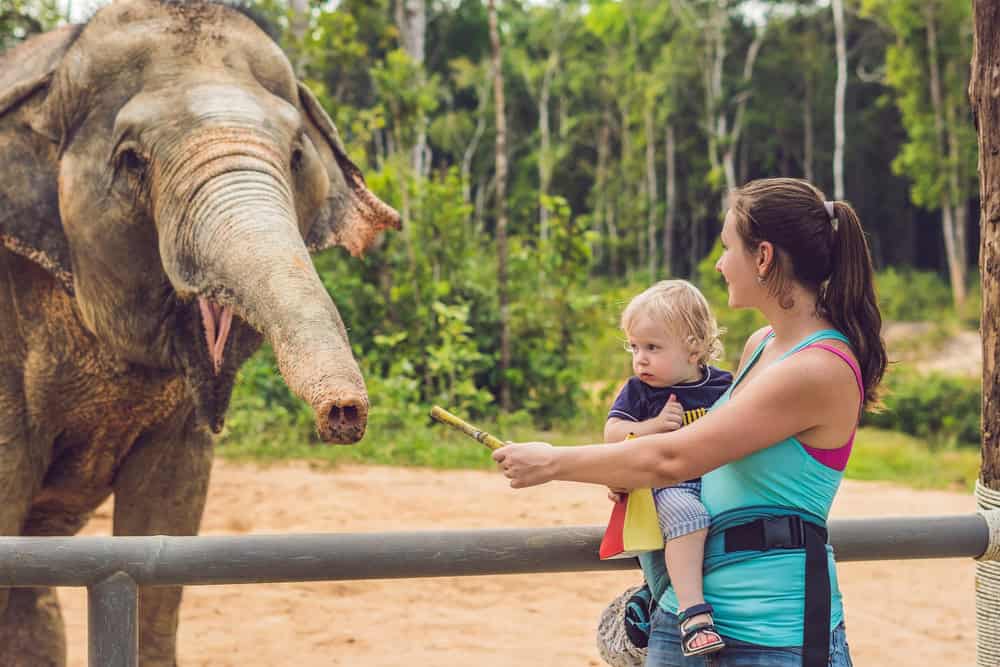 Irvine With Toddlers: The Zoo-and-Park Vacation Parents Love