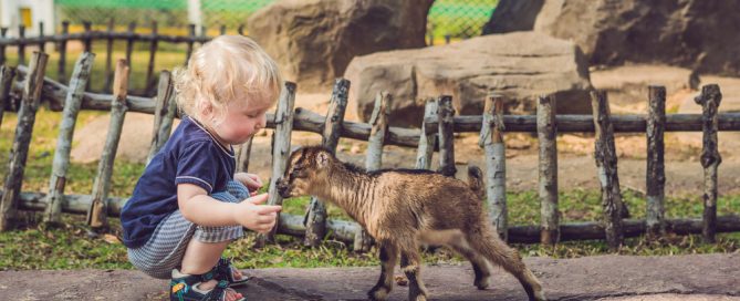 Irvine With Toddlers: The Zoo-And-Park Vacation Parents Love