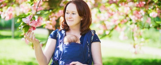 Mother With Baby In A Carrier Under Blooming Pink Cherry Blossoms.