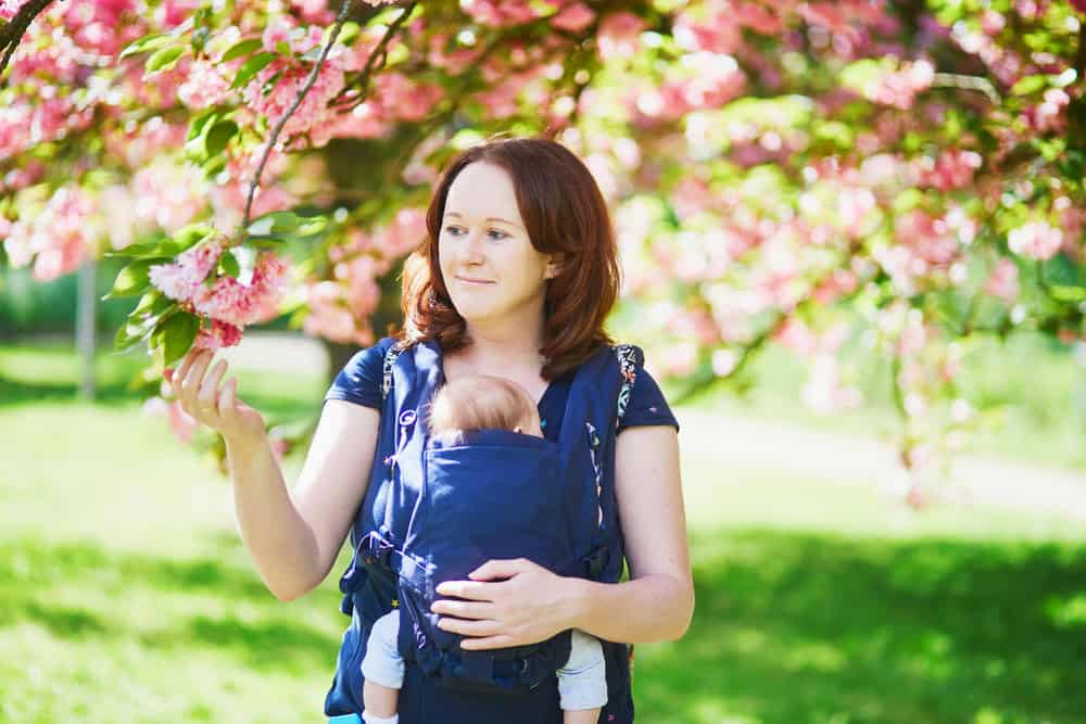 Mother with baby in a carrier under blooming pink cherry blossoms.
