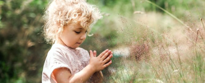 Child Playing With Dandelion Seeds Outdoors In Nature.