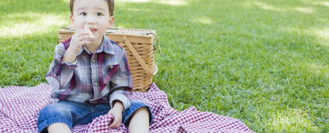 Young Child Enjoying A Picnic On A Red Checkered Blanket In A Park.