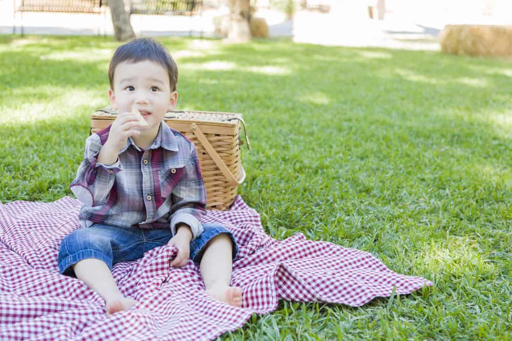 Young child enjoying a picnic on a red checkered blanket in a park.
