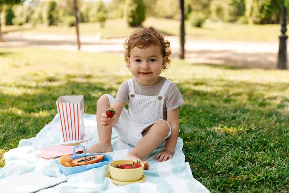 The Best Picnic and Snack Plan for the Orange County Zoo