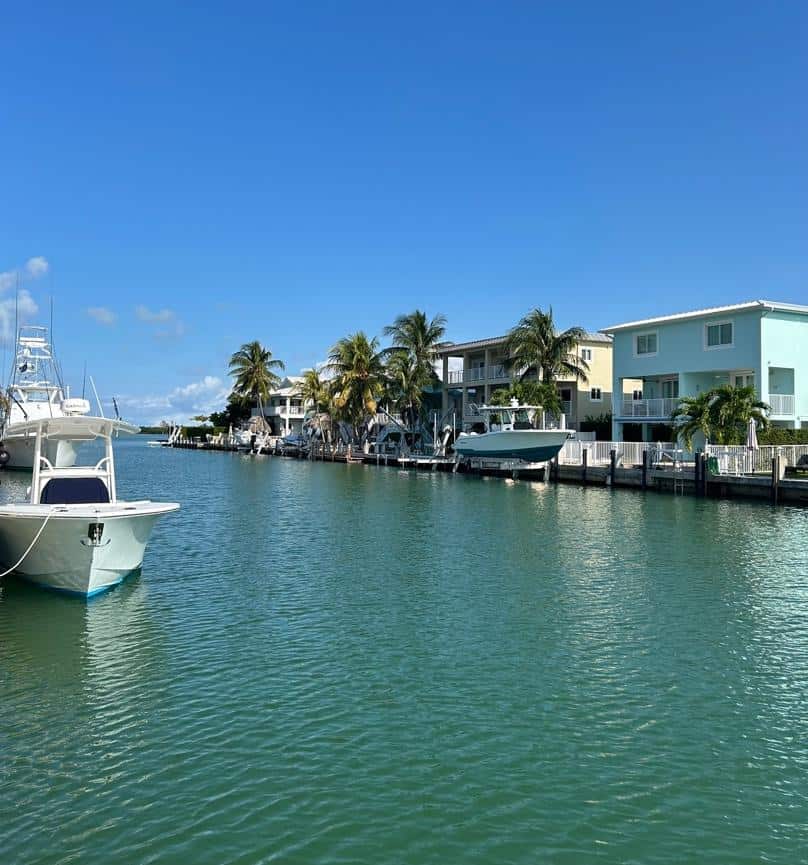 Waterfront view with boats, palm trees, and houses under a blue sky.