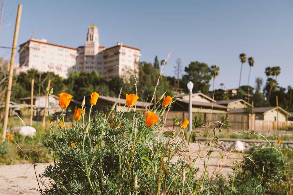 The Best Places to Stay in Pasadena For Walkable Family Outings