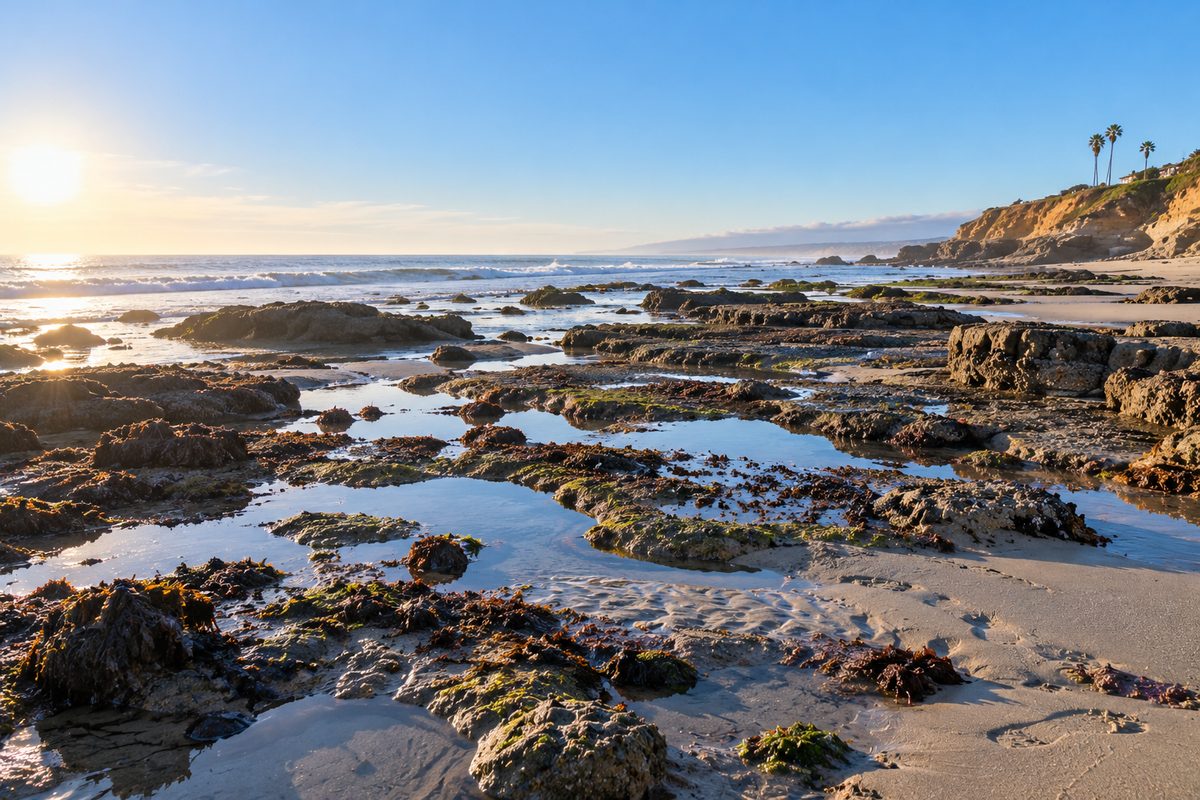 Shallow Tide Pools And Exposed Rocks At Sunrise During A Morning Low Tide
