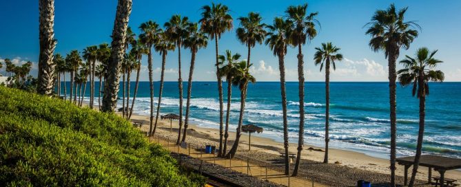 Palm Trees Above A Sunny Beach In San Clemente, One Of The Best Places To Stay In Orange County With Toddlers