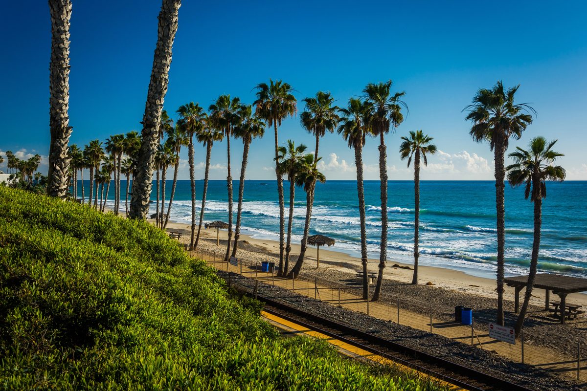 Palm Trees Above A Sunny Beach In San Clemente, One Of The Best Places To Stay In Orange County With Toddlers